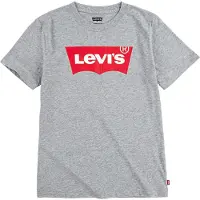 Levi's T-Shirt mit Markendruck