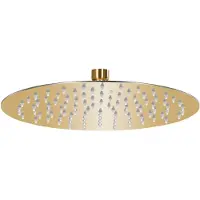 vidaXL Regenbrause Edelstahl 25 cm Rund Golden