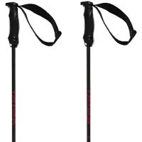 Völkl Rentastick Carbon Poles carbon 110