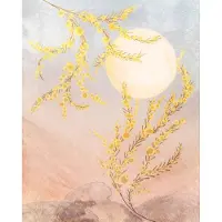 Overig Vliestapete "Digitaldruck Vlies - Sol - Größe 200 x 250 cm" bedruckt glatt Wohnzimmer, Schlafzimmer