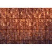 Overig Vliestapete "Digitaldruck Vlies - Erosion - Größe 400 x 280 cm" bedruckt glatt Wohnzimmer, Schlafzimmer