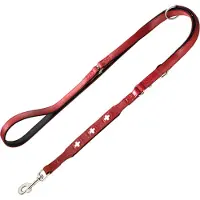 Hunter Set: Halsband Swiss + Hundeleine Swiss - Halsband Größe 55 + Leine 200 cm, 18 mm