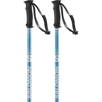 Salomon Rental Anodized Stöcke