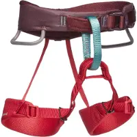 Black Diamond Klettergurte MOMENTUM HARNESS KIDS'
