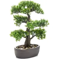 Botanic-Haus Kunstbonsai "Ceder Bonsai"