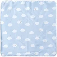 Roba Kuscheldecke 'Kleine Wolke blau' 1 St