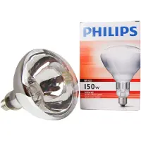 Philips Infrarot-Lp. 230-250V 1Ct/10 (Ir150Ch R125 E27) 1 St