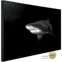 Papermoon Infrarotheizung »EcoHeat - Haifisch Schwarz + Weiss«, Matt-Effekt - bunt