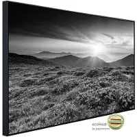 Papermoon Infrarotheizung »EcoHeat - Landschaft Schwarz + Weiss«, Matt-Effekt - bunt
