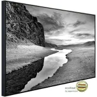 Papermoon Infrarotheizung »EcoHeat - Landschaft schwarz + weiss«, Matt-Effekt - bunt