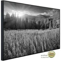 Papermoon Infrarotheizung »EcoHeat - Landschaft Schwarz + Weiss«, Matt-Effekt - bunt