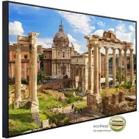 Papermoon Infrarotheizung »EcoHeat - Forum Romanum Rom«, Matt-Effekt - bunt