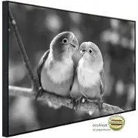 Papermoon Infrarotheizung »EcoHeat - Vögel Schwarz + Weiss«, Matt-Effekt - bunt