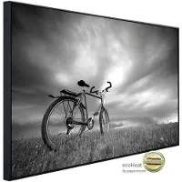 Papermoon Infrarotheizung »EcoHeat - Fahrrad Schwarz + Weiss«, Matt-Effekt - bunt