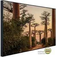 Papermoon Infrarotheizung »EcoHeat - Wald«, Matt-Effekt - bunt