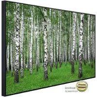 Papermoon Infrarotheizung »EcoHeat - Sommer Birkenwald«, Matt-Effekt - bunt