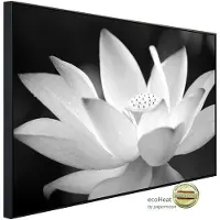 Papermoon Infrarotheizung »EcoHeat - Blume Schwarz + Weiss«, Matt-Effekt - bunt