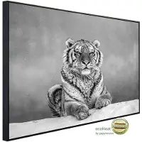 Papermoon Infrarotheizung »EcoHeat - Tiger Portrait Schwarz + Weiss«, Matt-Effekt - bunt