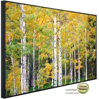 Papermoon Infrarotheizung »EcoHeat - Herbst Birkenwald«, Matt-Effekt - bunt