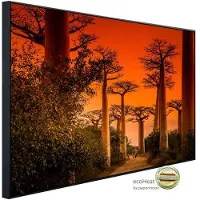 Papermoon Infrarotheizung »EcoHeat - Wald «, Matt-Effekt - bunt