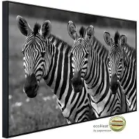 Papermoon Infrarotheizung »EcoHeat - Zebras Schwarz + Weiss«, Matt-Effekt - bunt
