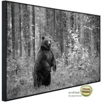 Papermoon Infrarotheizung »EcoHeat - Bär im Wald Schwarz + Weiss«, Matt-Effekt - bunt