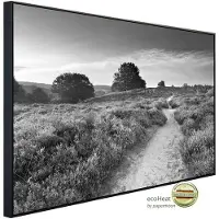 Papermoon Infrarotheizung »EcoHeat - Feldweg Schwarz + Weiss«, Matt-Effekt - bunt