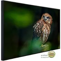 Papermoon Infrarotheizung »EcoHeat - Brown Wood Owl«, Matt-Effekt - bunt