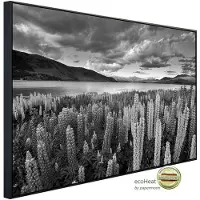 Papermoon Infrarotheizung »EcoHeat - Landschaft Schwarz + Weiss«, Matt-Effekt - bunt