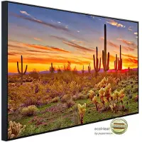 Papermoon Infrarotheizung »EcoHeat - Saguaros Sunset Phoenix«, Matt-Effekt - bunt