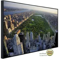 Papermoon Infrarotheizung »EcoHeat - Blick auf den Central Park«, Matt-Effekt - bunt