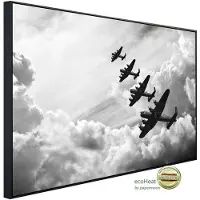 Papermoon Infrarotheizung »EcoHeat - Flugzeug Schwarz + Weiss«, Matt-Effekt - bunt