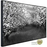 Papermoon Infrarotheizung »EcoHeat - Baumplantage Schwarz + Weiss«, Matt-Effekt - bunt