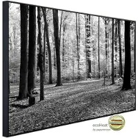 Papermoon Infrarotheizung »EcoHeat - Wald Schwarz + Weiss«, Matt-Effekt - bunt