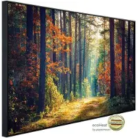 Papermoon Infrarotheizung »EcoHeat - Herbstwald Sonnenstrahlen«, Matt-Effekt - bunt