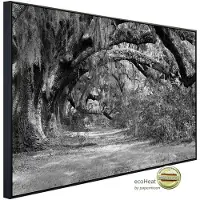 Papermoon Infrarotheizung »EcoHeat - Wald Schwarz + Weiss«, Matt-Effekt - bunt
