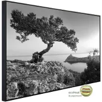 Papermoon Infrarotheizung »EcoHeat - Landschaft schwarz + weiss«, Matt-Effekt - bunt