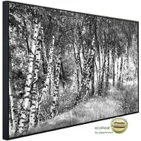 Papermoon Infrarotheizung »EcoHeat - Birkenwald Schwarz + Weiss«, Matt-Effekt - bunt