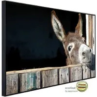 Papermoon Infrarotheizung »EcoHeat - Esel«, Matt-Effekt - bunt