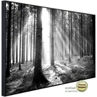 Papermoon Infrarotheizung »EcoHeat - Wald Schwarz + Weiss«, Matt-Effekt - bunt