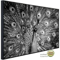 Papermoon Infrarotheizung »EcoHeat - Pfau Schwarz + Weiss«, Matt-Effekt - bunt