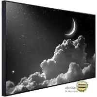 Papermoon Infrarotheizung »EcoHeat - Nachthimmel Schwarz + Weiss«, Matt-Effekt - bunt