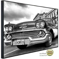 Papermoon Infrarotheizung »EcoHeat - Auto Schwarz + Weiss«, Matt-Effekt - bunt
