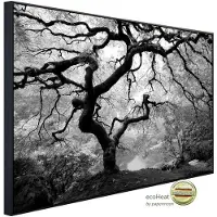 Papermoon Infrarotheizung »EcoHeat - Waldbaum schwarz + weiss«, Matt-Effekt - bunt