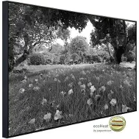 Papermoon Infrarotheizung »EcoHeat - Landschaft Schwarz + Weiss«, Matt-Effekt - bunt