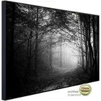 Papermoon Infrarotheizung »EcoHeat - Waldweg Schwarz + Weiss«, Matt-Effekt - bunt