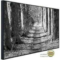 Papermoon Infrarotheizung »EcoHeat - Waldweg Schwarz + Weiss«, Matt-Effekt - bunt