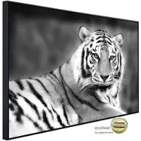 Papermoon Infrarotheizung »EcoHeat - Tiger Schwarz + Weiss«, Matt-Effekt - bunt