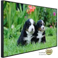 Papermoon Infrarotheizung »EcoHeat - Berner Sennenhunde«, Matt-Effekt - bunt
