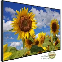 Papermoon Infrarotheizung »EcoHeat - Sonnenblumen«, Matt-Effekt - bunt